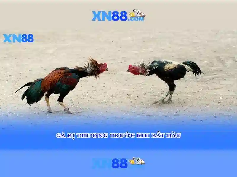 💎hb88 trang chủ nhà cái ở đầu💎 💎hb88 trang chủ nhà cái ở đầu💎