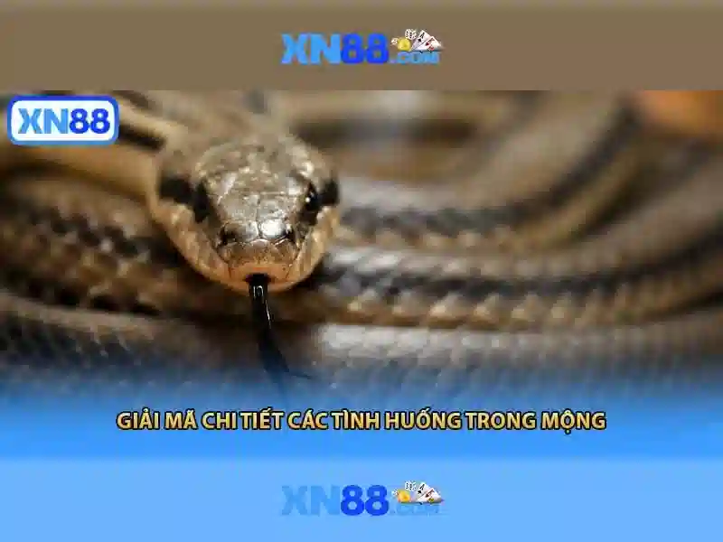 💎nhà cái giống qh88💎 💎nhà cái giống qh88💎