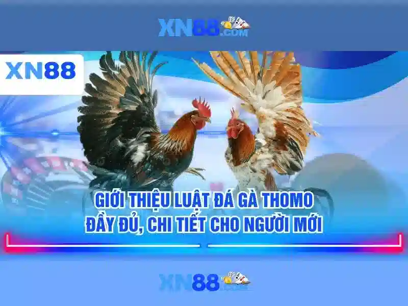 💎84vn trang chủ nhà cái 84vn💎 💎84vn trang chủ nhà cái 84vn💎