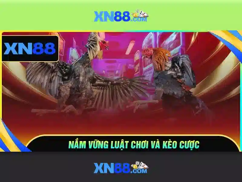 💎sòng bạc netbet💎 💎sòng bạc netbet💎