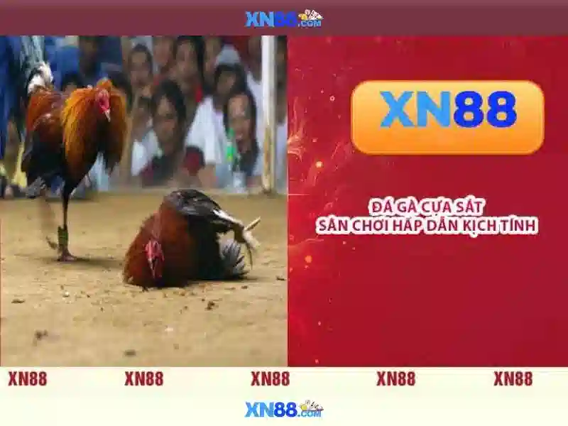 slot 3D - xn88 slot 3D - xn88