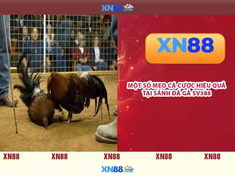 💎google calendar time slots💎 💎google calendar time slots💎