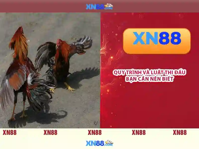 💎slots ouro💎 💎slots ouro💎