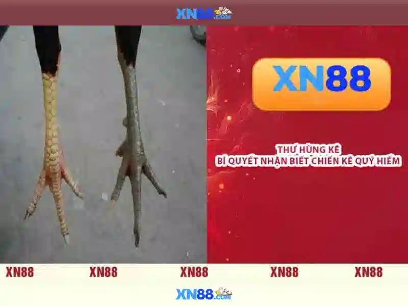 💎soi kèo nhà cái bóng đá tây ban nha💎 💎soi kèo nhà cái bóng đá tây ban nha💎