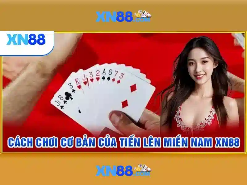 💎nhà cái 888b.com💎 💎nhà cái 888b.com💎