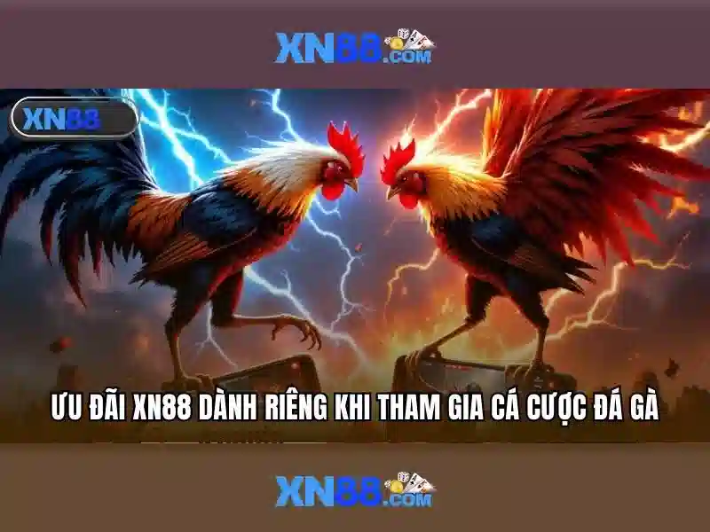 💎tỉ lệ cá cược đức💎 💎tỉ lệ cá cược đức💎