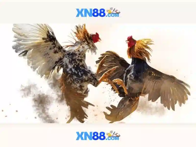 💎trung tâm sòng bạc nhìn ra thung lũng💎 💎trung tâm sòng bạc nhìn ra thung lũng💎