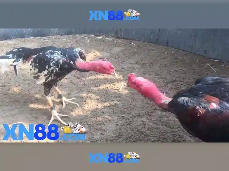 💎what is dedicated slot in mobiles💎 💎what is dedicated slot in mobiles💎