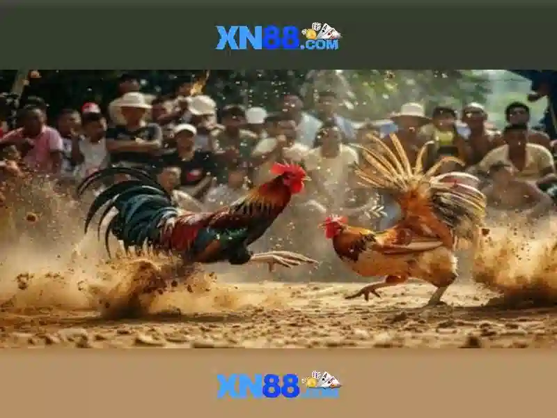 💎nhà cái uy tín nhacaiuytin.net💎 💎nhà cái uy tín nhacaiuytin.net💎