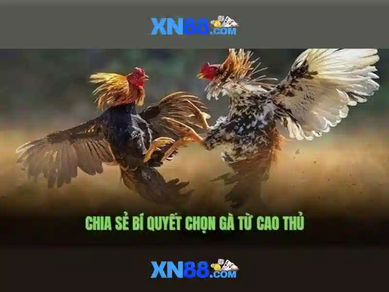 💎online bingo with slots💎 💎online bingo with slots💎