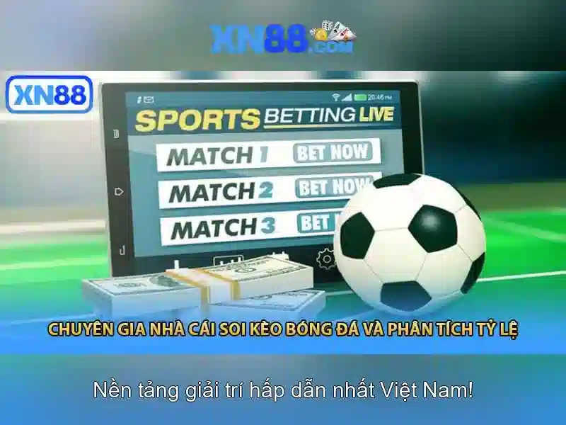 💎kỹ thuật trồng rau cải ngọt tại nhà💎 💎kỹ thuật trồng rau cải ngọt tại nhà💎