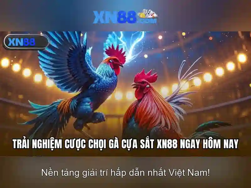 💎link phụ vào nhà cái top vn v9bet💎 💎link phụ vào nhà cái top vn v9bet💎