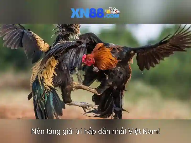 💎stinkin rich slingo slot💎 💎stinkin rich slingo slot💎