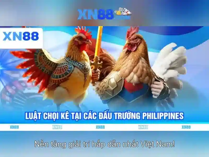 💎road kill slot💎 💎road kill slot💎