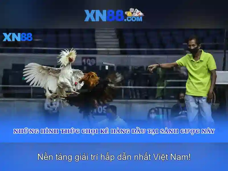 💎qqgroup slot💎 💎qqgroup slot💎