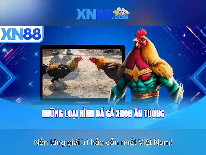 💎cầu tràng tiền huế được bắc qua sông gì💎 💎cầu tràng tiền huế được bắc qua sông gì💎