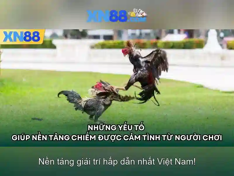 💎nhà cái la gì💎 💎nhà cái la gì💎