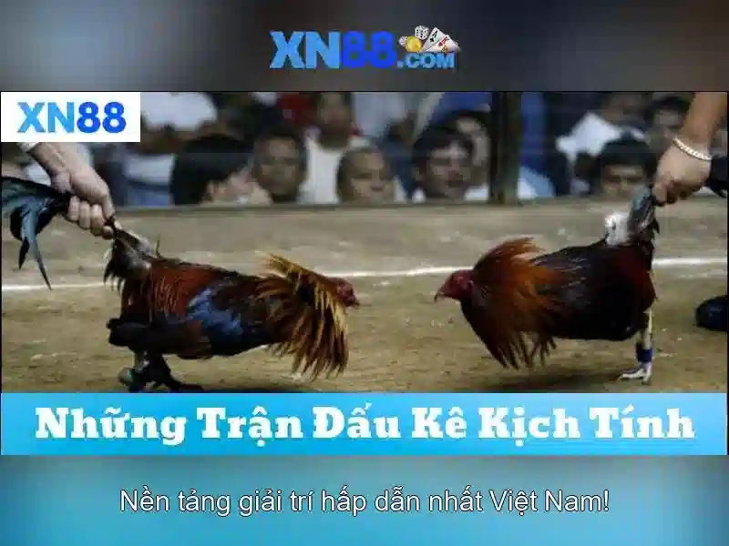 💎cumibet slot💎 💎cumibet slot💎