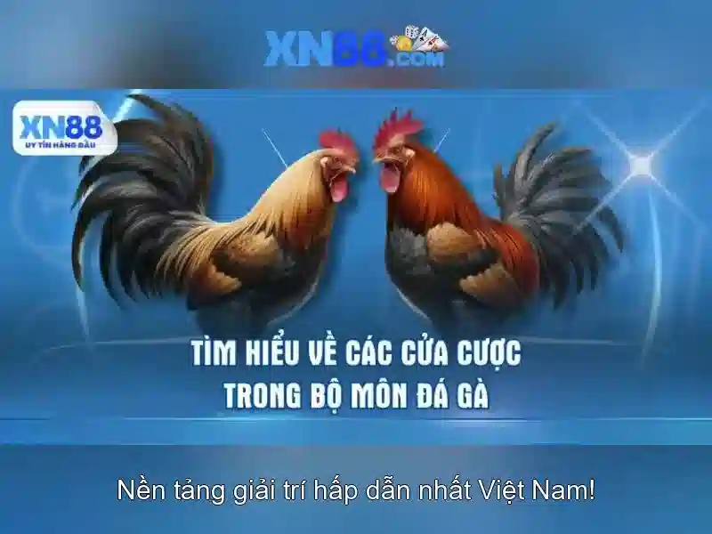 💎trang cá cược bóng đá.com💎 💎trang cá cược bóng đá.com💎