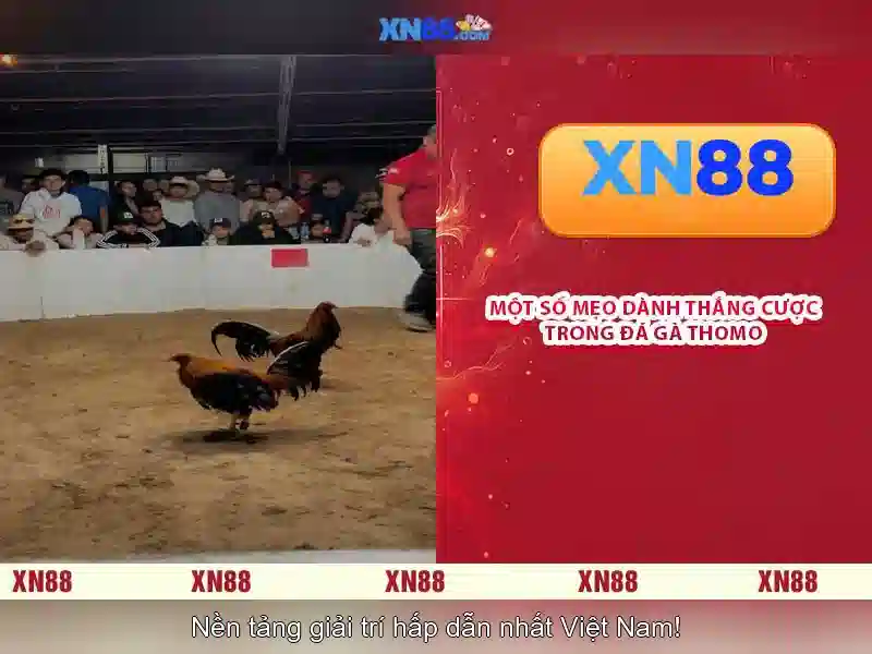 💎play online free slot games💎 💎play online free slot games💎